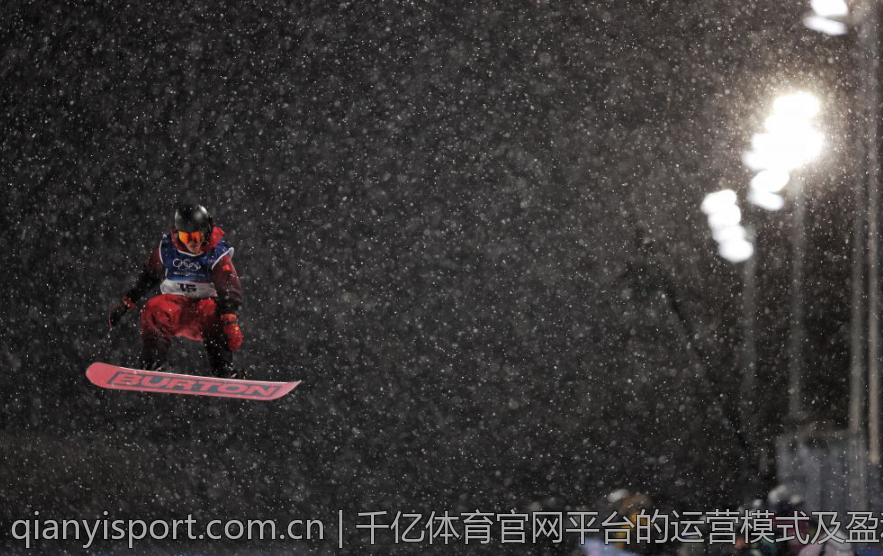 千亿体育官网平台的运营模式及盈利策略